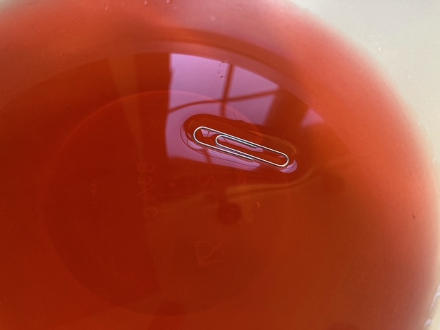 A paperclip floats on red liquid. Photo by Christopher Kantor.