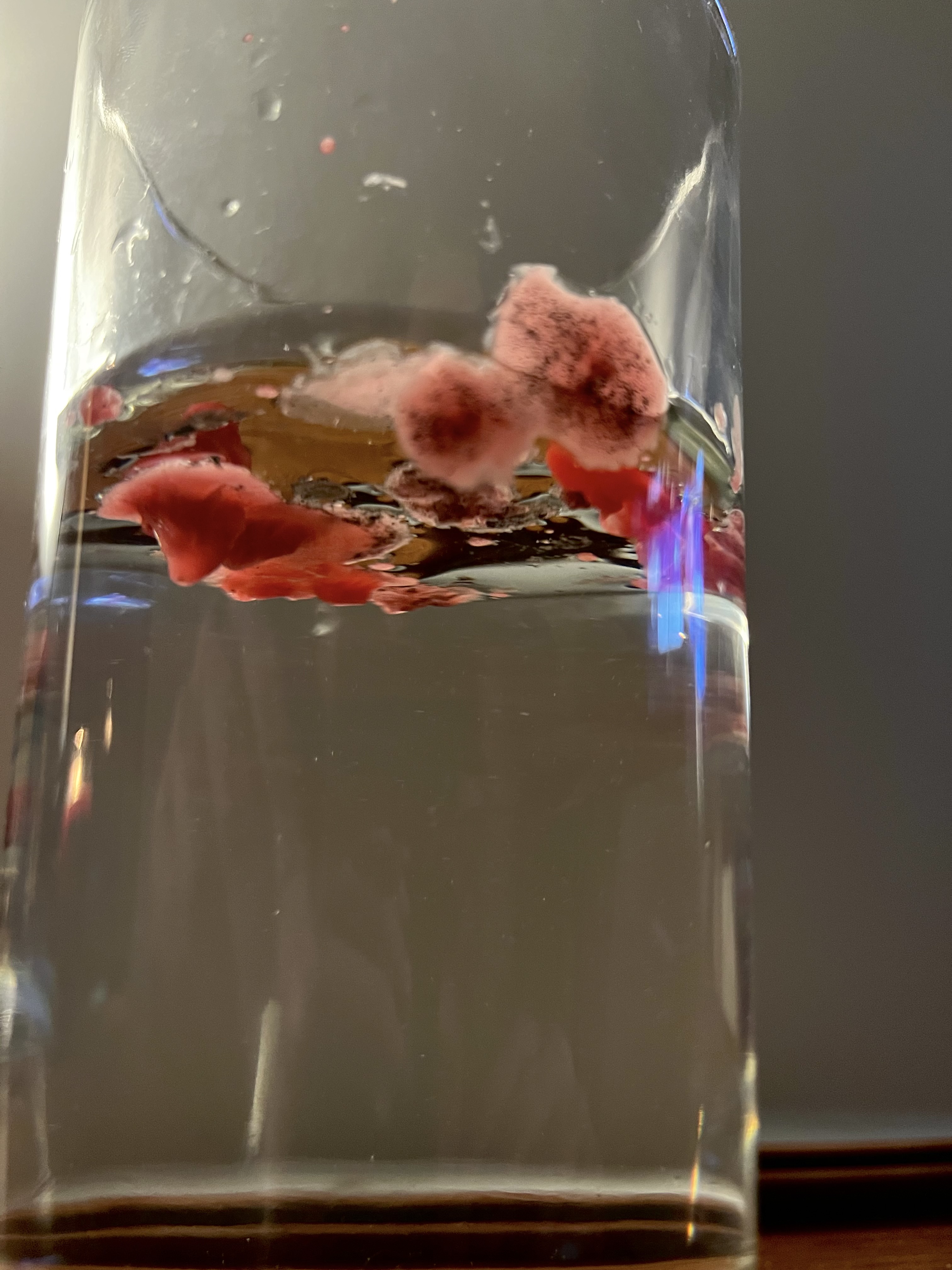 A photo looking up at a glass of water with red wax floating on the surface. Photo by Payton Thomas.